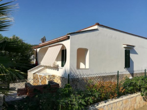 Holidays in Vieste in charming villas - 4